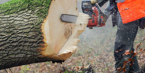 Bıçkı Yağı (Parafinik B)