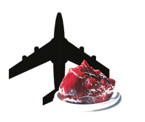 Speed Air Grease FSX 100